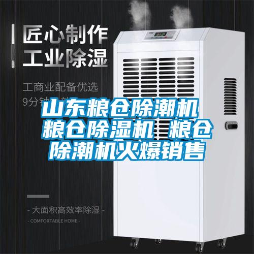 山東糧倉(cāng)除潮機(jī) 糧倉(cāng)除濕機(jī) 糧倉(cāng)除潮機(jī)火爆銷(xiāo)售