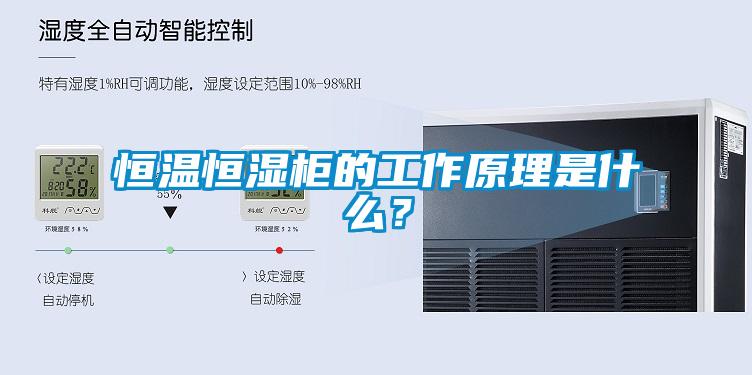 恒溫恒濕柜的工作原理是什么？