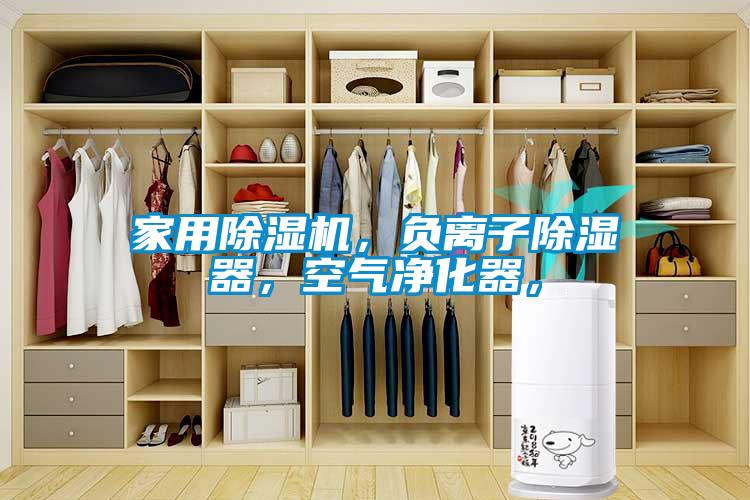 家用除濕機，負離子除濕器，空氣凈化器，