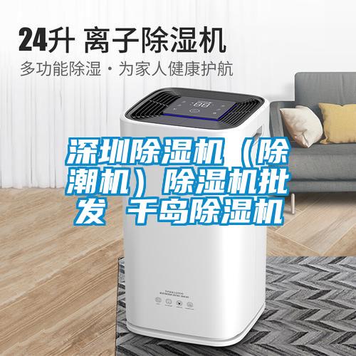 深圳除濕機（除潮機）除濕機批發 千島除濕機