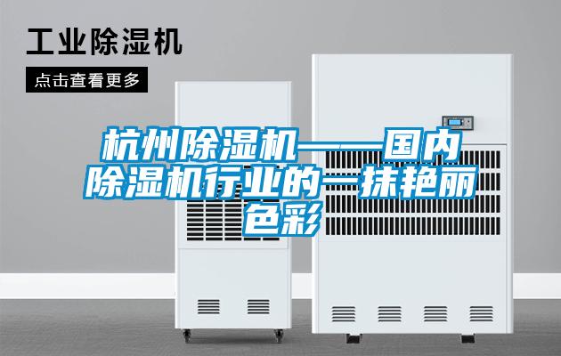 杭州除濕機——國內除濕機行業的一抹艷麗色彩