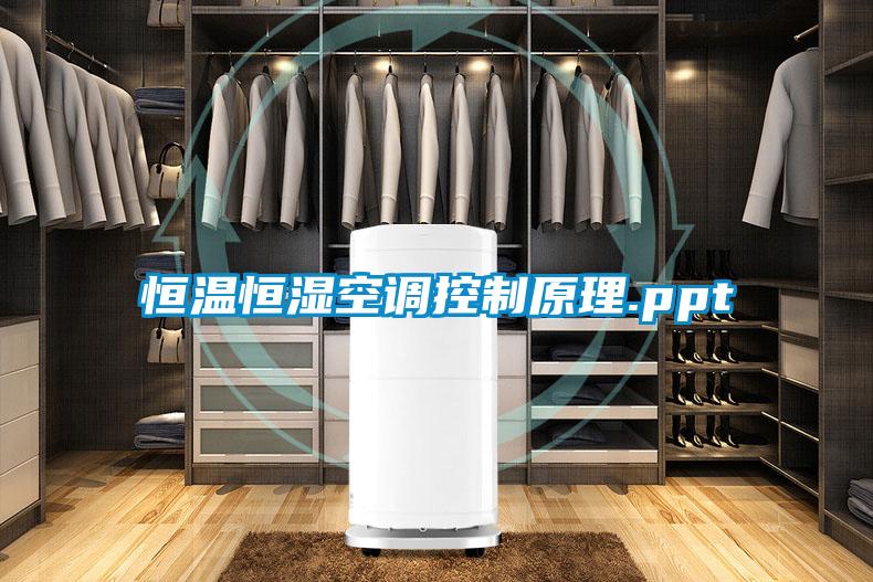恒溫恒濕空調控制原理.ppt