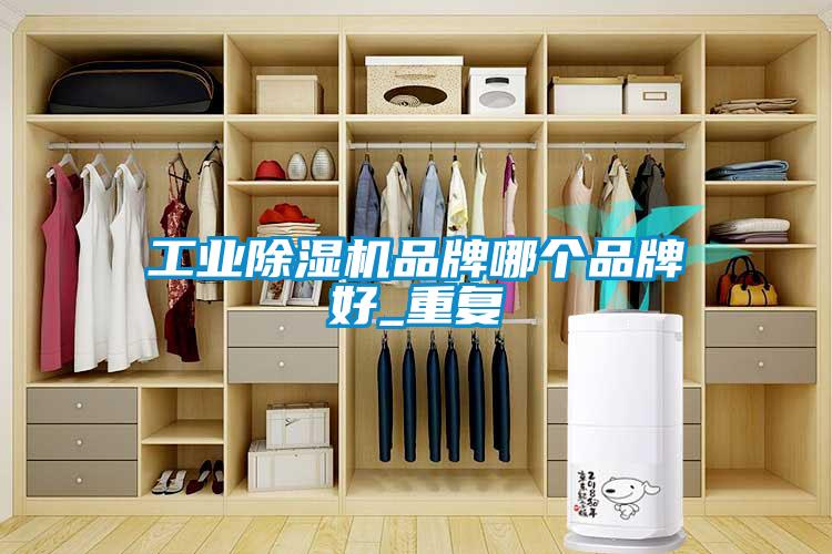 工業(yè)除濕機品牌哪個品牌好_重復(fù)