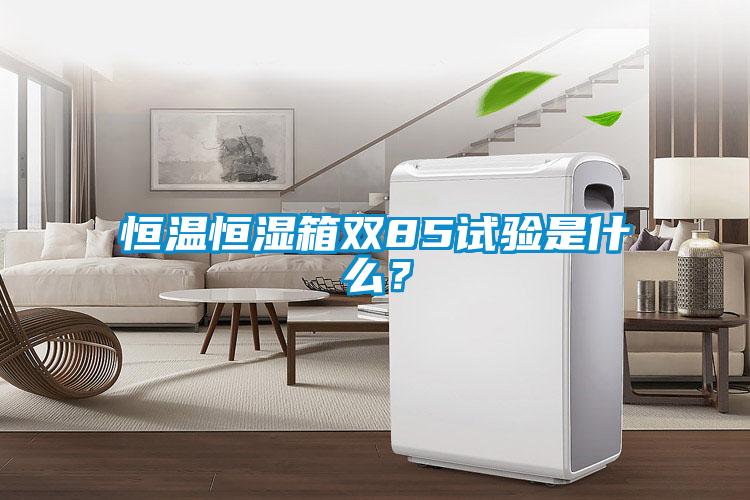 恒溫恒濕箱雙85試驗是什么？