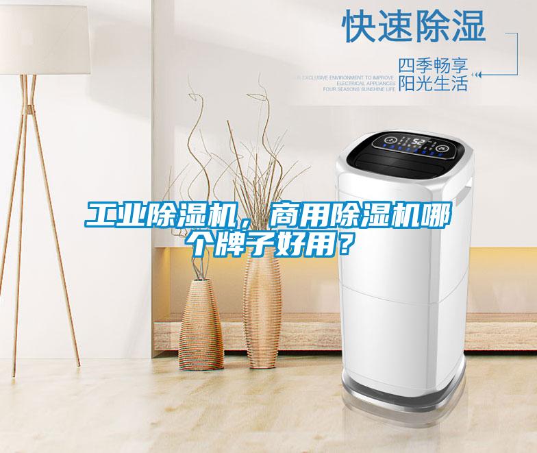 工業(yè)除濕機，商用除濕機哪個牌子好用？