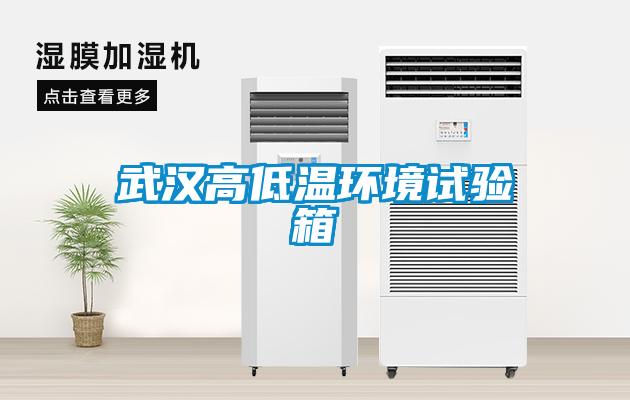武漢高低溫環境試驗箱