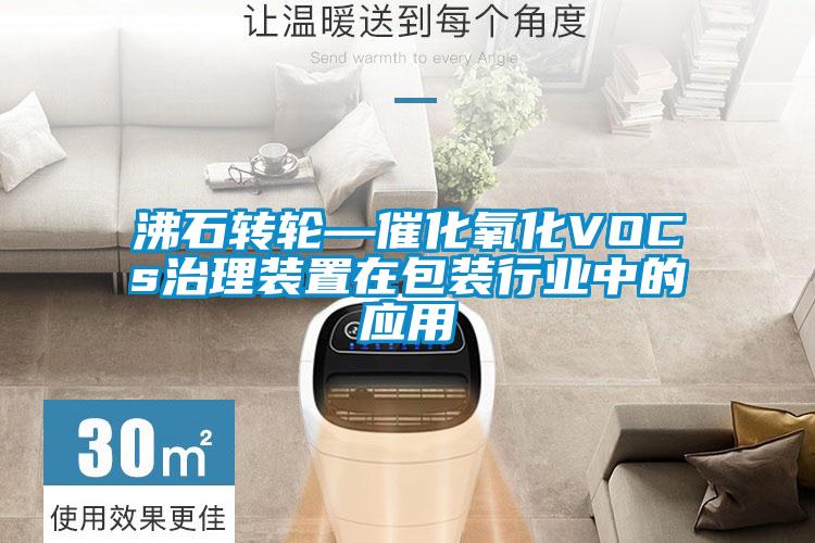 沸石轉輪—催化氧化VOCs治理裝置在包裝行業中的應用