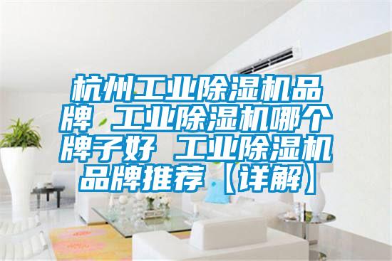 杭州工業(yè)除濕機(jī)品牌 工業(yè)除濕機(jī)哪個(gè)牌子好 工業(yè)除濕機(jī)品牌推薦【詳解】