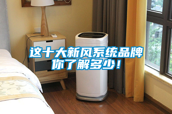 這十大新風(fēng)系統(tǒng)品牌你了解多少！