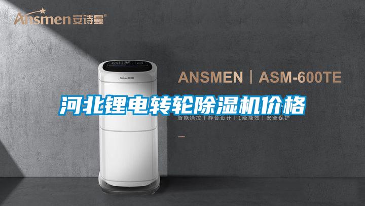 河北鋰電轉輪除濕機價格