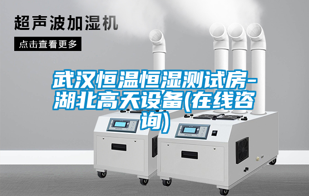 武漢恒溫恒濕測(cè)試房-湖北高天設(shè)備(在線咨詢)
