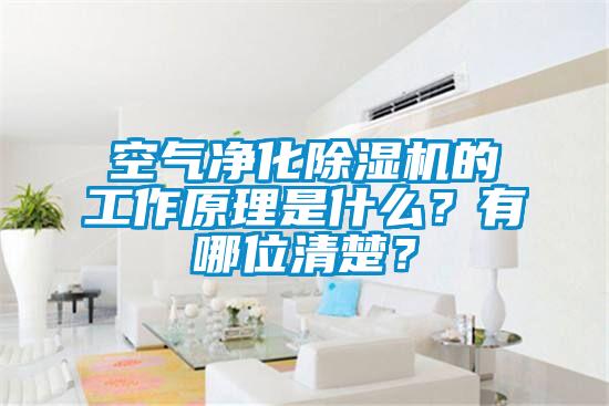 空氣凈化除濕機的工作原理是什么？有哪位清楚？