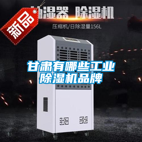 甘肅有哪些工業(yè)除濕機品牌