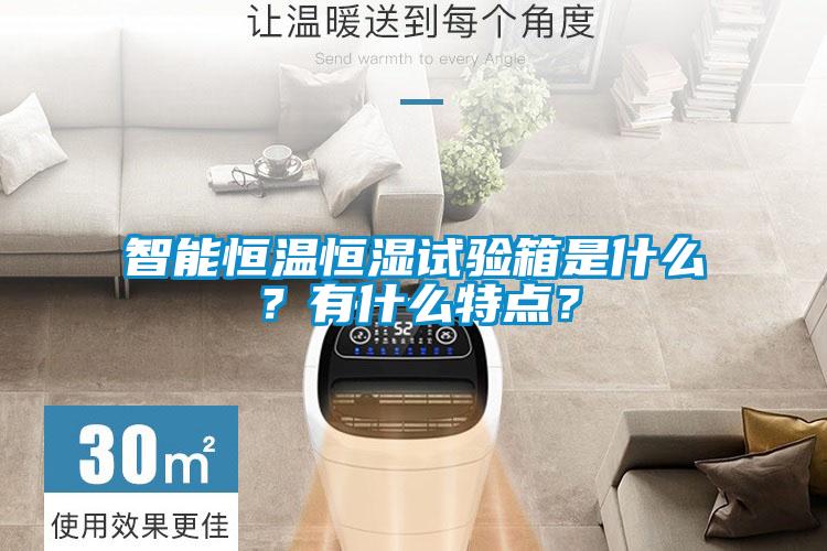 智能恒溫恒濕試驗(yàn)箱是什么？有什么特點(diǎn)？