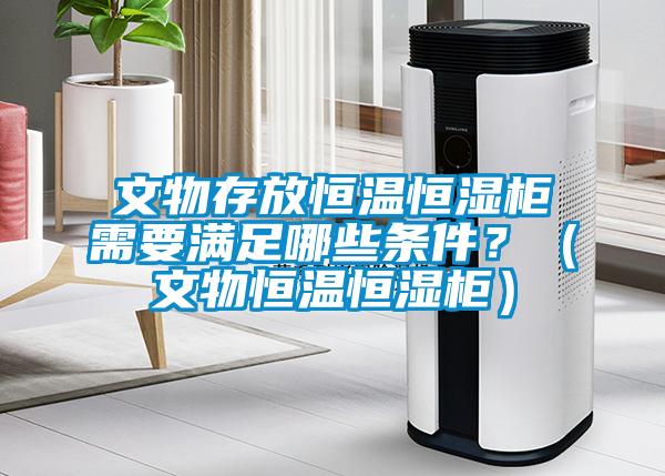 文物存放恒溫恒濕柜需要滿足哪些條件？（文物恒溫恒濕柜）