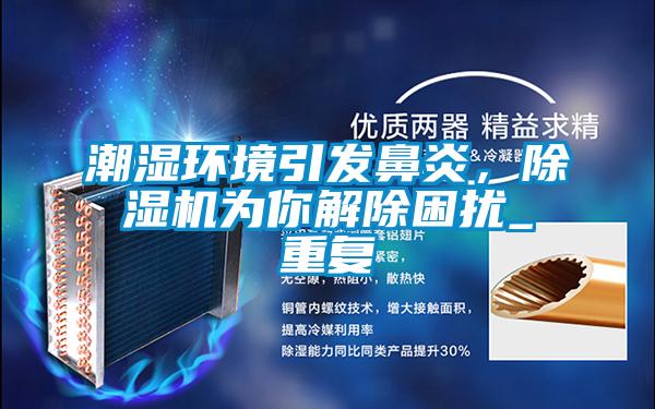 潮濕環境引發鼻炎，除濕機為你解除困擾_重復