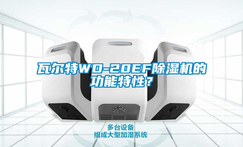 瓦爾特WD-20EF除濕機的功能特性？