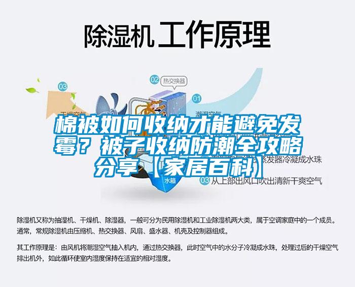 棉被如何收納才能避免發霉？被子收納防潮全攻略分享【家居百科】