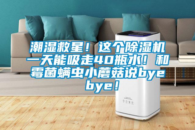 潮濕救星！這個除濕機一天能吸走40瓶水！和霉菌螨蟲小蘑菇說bye bye！