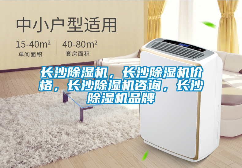 長沙除濕機，長沙除濕機價格，長沙除濕機咨詢，長沙除濕機品牌