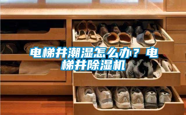電梯井潮濕怎么辦？電梯井除濕機