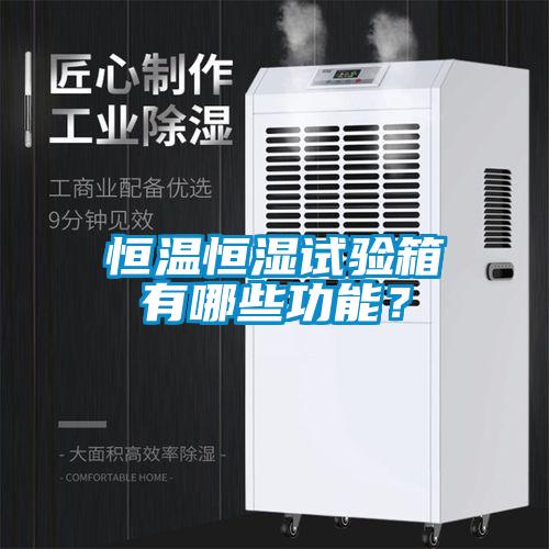 恒溫恒濕試驗(yàn)箱有哪些功能？