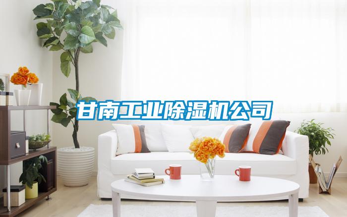 甘南工業除濕機公司