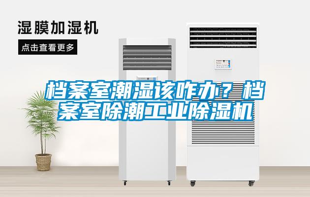 檔案室潮濕該咋辦？檔案室除潮工業除濕機