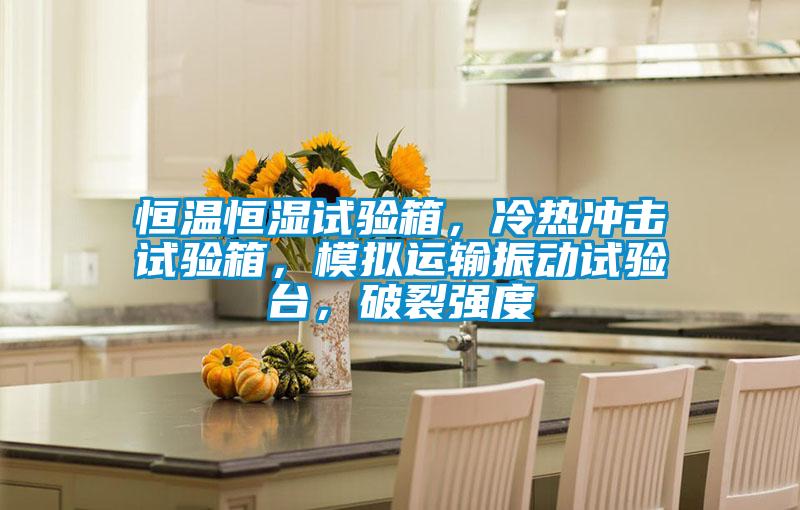 恒溫恒濕試驗箱，冷熱沖擊試驗箱，模擬運輸振動試驗臺，破裂強度