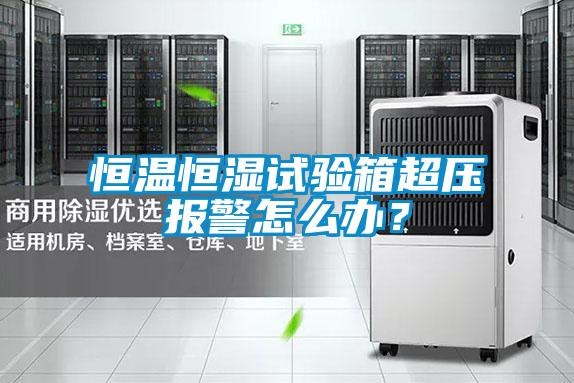 恒溫恒濕試驗(yàn)箱超壓報警怎么辦？