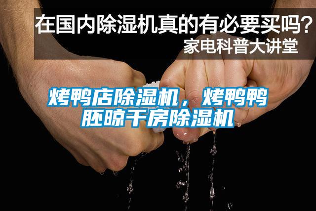 烤鴨店除濕機，烤鴨鴨胚晾干房除濕機