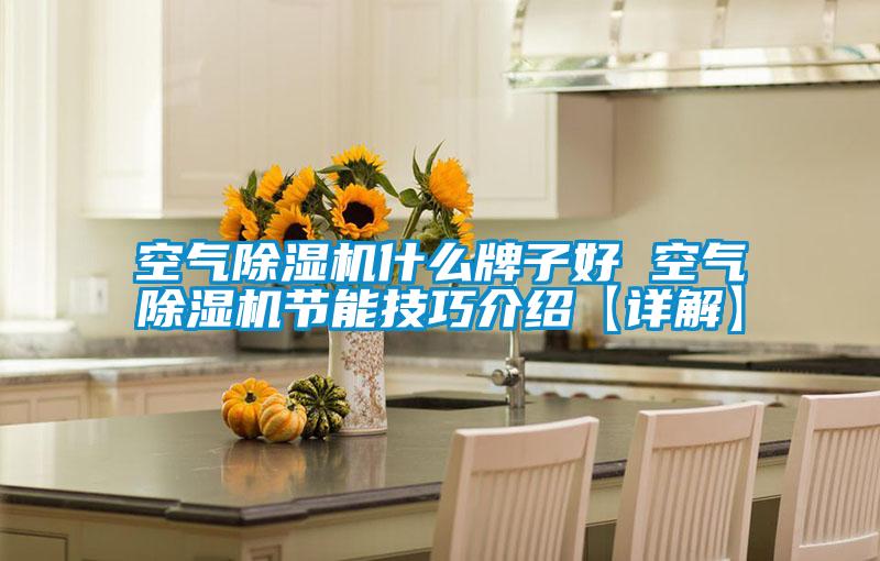 空氣除濕機什么牌子好 空氣除濕機節能技巧介紹【詳解】