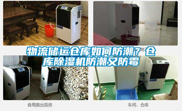 物流儲運倉庫如何防潮？倉庫除濕機防潮又防霉