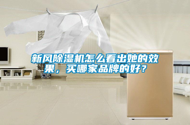新風(fēng)除濕機(jī)怎么看出她的效果，買哪家品牌的好？