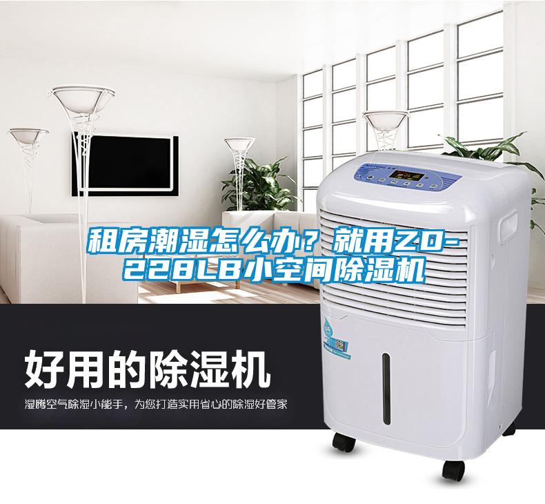 租房潮濕怎么辦？就用ZD-228LB小空間除濕機(jī)