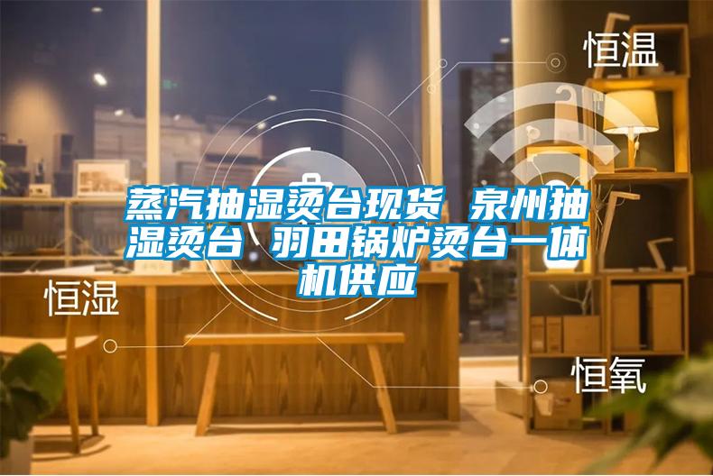 蒸汽抽濕燙臺現貨 泉州抽濕燙臺 羽田鍋爐燙臺一體機供應