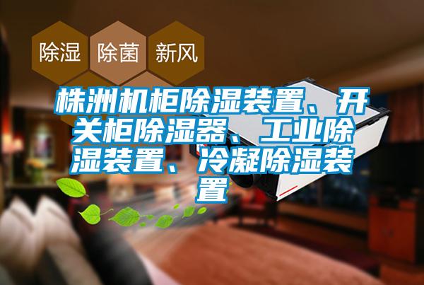 株洲機(jī)柜除濕裝置、開關(guān)柜除濕器、工業(yè)除濕裝置、冷凝除濕裝置
