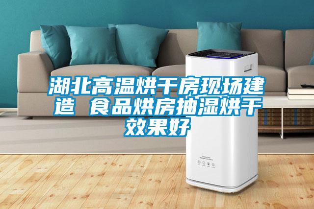湖北高溫烘干房現(xiàn)場(chǎng)建造 食品烘房抽濕烘干效果好