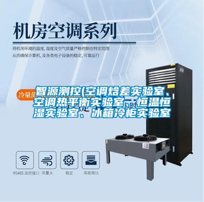 智源測控(空調(diào)焓差實(shí)驗(yàn)室、空調(diào)熱平衡實(shí)驗(yàn)室、恒溫恒濕實(shí)驗(yàn)室、冰箱冷柜實(shí)驗(yàn)室