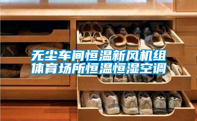 無塵車間恒溫新風機組體育場所恒溫恒濕空調