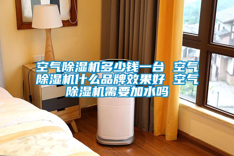 空氣除濕機多少錢一臺 空氣除濕機什么品牌效果好 空氣除濕機需要加水嗎