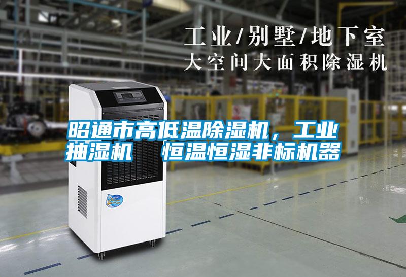 昭通市高低溫除濕機，工業抽濕機  恒溫恒濕非標機器