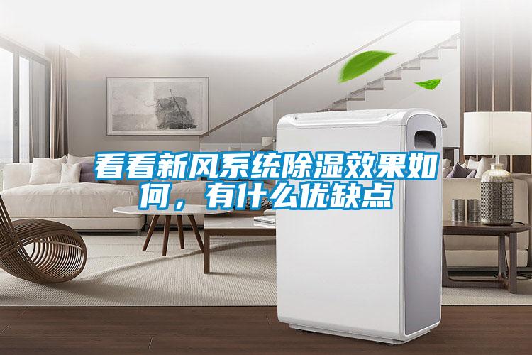 看看新風系統除濕效果如何，有什么優缺點
