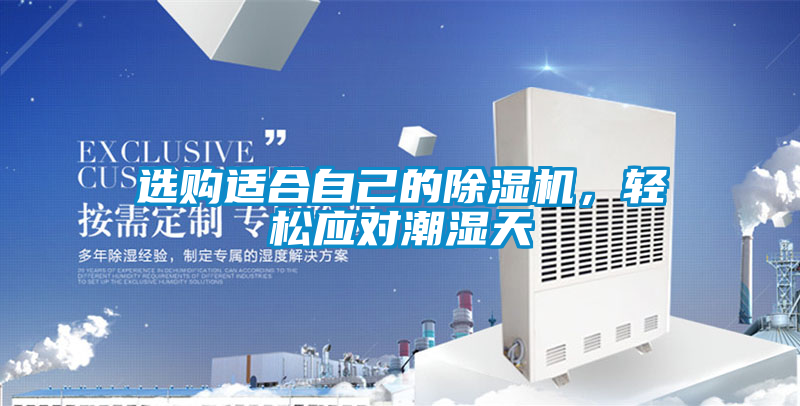 選購適合自己的除濕機，輕松應對潮濕天