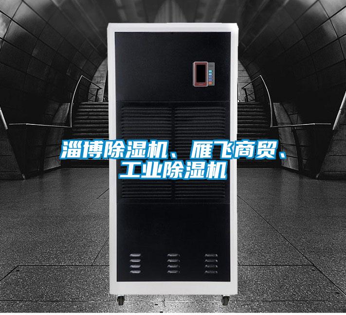 淄博除濕機(jī)、雁飛商貿(mào)、工業(yè)除濕機(jī)
