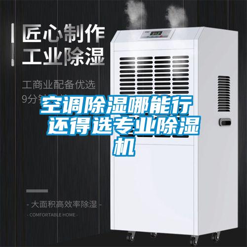 空調(diào)除濕哪能行 還得選專業(yè)除濕機