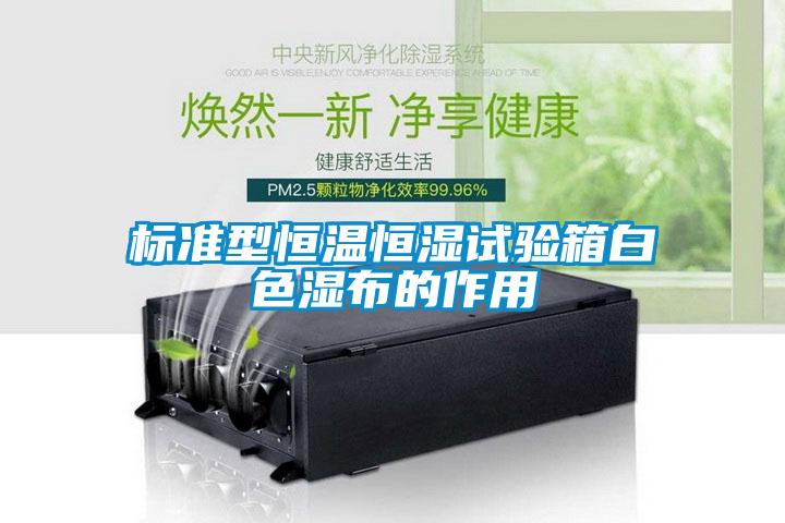 標準型恒溫恒濕試驗箱白色濕布的作用