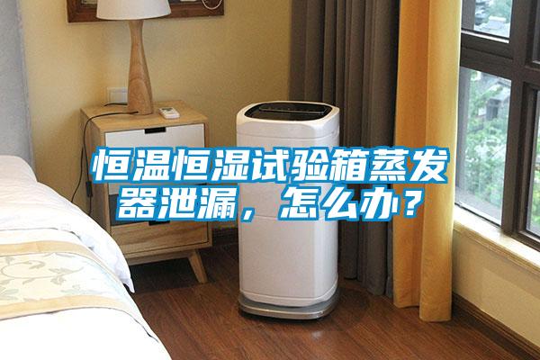 恒溫恒濕試驗箱蒸發器泄漏，怎么辦？