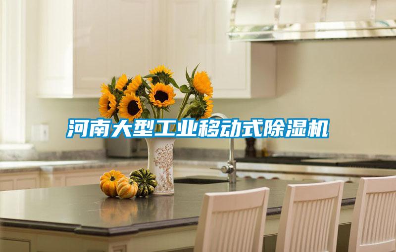 河南大型工業移動式除濕機
