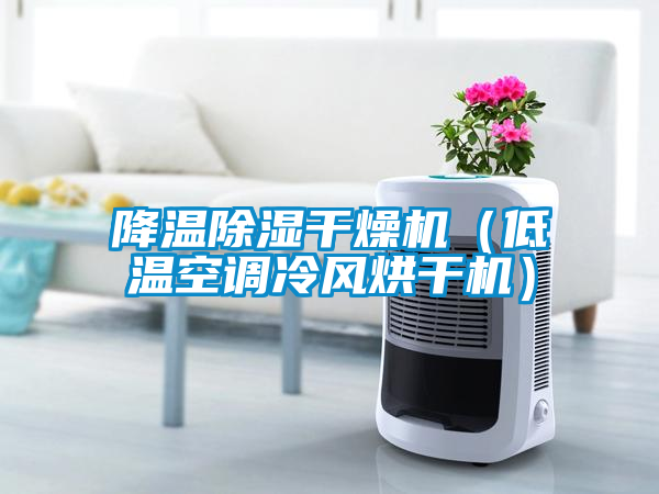 降溫除濕干燥機（低溫空調冷風烘干機）